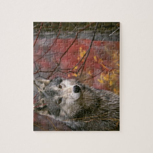 Wildlife Puzzle-Wolf Puzzle (Vertikal)