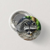 Wildlife Raccoon Log Mammal Foto Button (Vorne & Hinten)