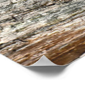 Wildlife Raccoon Log Mammal Foto Poster (Ecke)