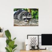 Wildlife Raccoon Log Mammal Foto Poster (Heimbüro)