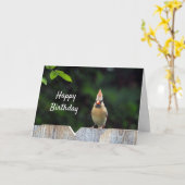 Wildlife Red Kardinal Fence Birthday Karte (Gelbe Blume)
