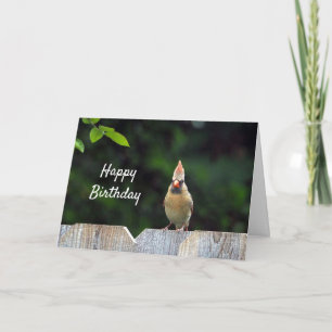 Wildlife Red Kardinal Fence Birthday Karte