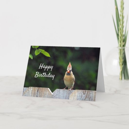 Wildlife Red Kardinal Fence Birthday Karte (Vorderseite)