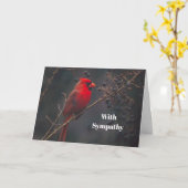 Wildlife Red Kardinal Foto Beileid Karte (Gelbe Blume)