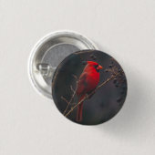 Wildlife Red Kardinal Foto Button (Vorne & Hinten)