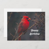 Wildlife Red Kardinal Foto Geburtstag Postkarte (Vorne/Hinten)