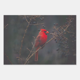 Wildlife Red Kardinal Foto Geschenkpapier Set