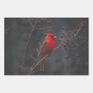 Wildlife Red Kardinal Foto Geschenkpapier Set