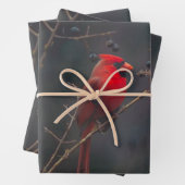 Wildlife Red Kardinal Foto Geschenkpapier Set (Beispiel)