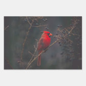 Wildlife Red Kardinal Foto Geschenkpapier Set (Vorderseite 3)