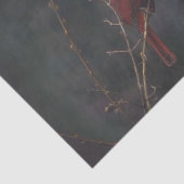 Wildlife Red Kardinal Foto Seidenpapier (Ausschnitt)