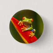 Wildlife Red Mit Augen Tree Frog Foto Button (Vorderseite)