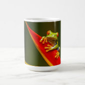Wildlife Red Mit Augen Tree Frog Foto Kaffeetasse (Mittel)
