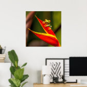 Wildlife Red Mit Augen Tree Frog Foto Poster (Heimbüro)
