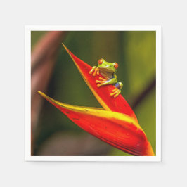 Wildlife Red Mit Augen Tree Frog Foto Serviette
