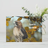 Wildlife Red Tail Hawk Herbst Foto Geburtstag Einladung (Stehend Vorderseite)