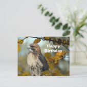 Wildlife Red Tail Hawk Herbst Foto Geburtstag Postkarte (Stehend Vorderseite)