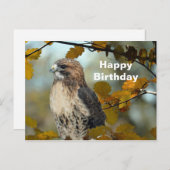 Wildlife Red Tail Hawk Herbst Foto Geburtstag Postkarte (Vorne/Hinten)
