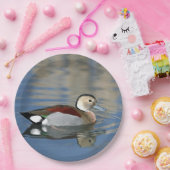 Wildlife Ringed Aquamarin Duck Foto Pappteller (Party)