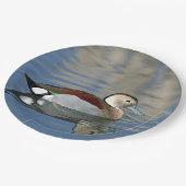 Wildlife Ringed Aquamarin Duck Foto Pappteller (Schrägansicht)