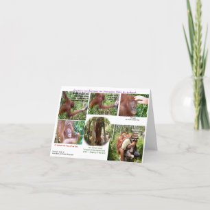 Wildlife Romantic Humor Karte