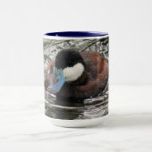 Wildlife Ruddy Duck Foto Tasse (Zentrum)