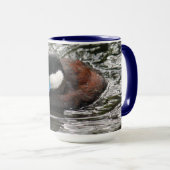 Wildlife Ruddy Duck Foto Tasse (VorderseiteRechts)