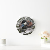 Wildlife Ruddy Duck Photo Runde Wanduhr (Zuhause)