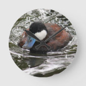 Wildlife Ruddy Duck Photo Runde Wanduhr (Vorderseite)