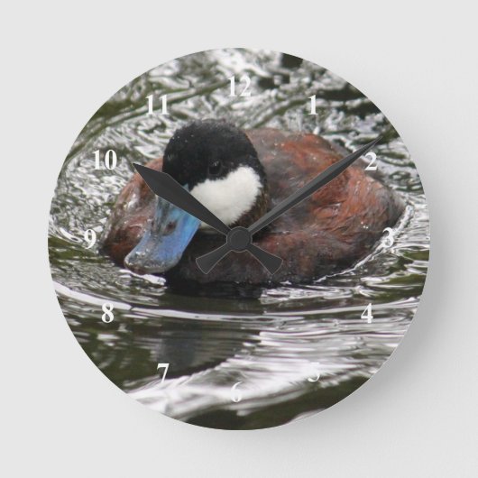 Wildlife Ruddy Duck Photo Runde Wanduhr (Vorderseite)