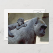 Wildlife Set - Primates 3 Postkarte (Vorne/Hinten)