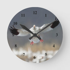 Wildlife Snow Gose Foto Runde Wanduhr