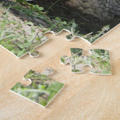 Wildlife Tortoise Foto Puzzle (Seite)