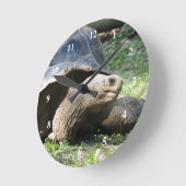 Wildlife Tortoise Foto Runde Wanduhr (Winkel)