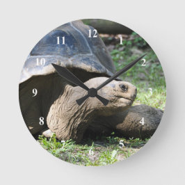 Wildlife Tortoise Foto Runde Wanduhr