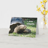 Wildlife Tortoise Photo Sympathy Karte (Gelbe Blume)