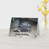 Wildlife Tortoise Reptile Foto Geburtstag Karte (Gelbe Blume)