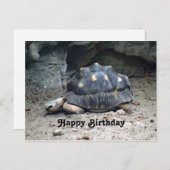 Wildlife Tortoise Reptile Foto Geburtstag Postkarte (Vorne/Hinten)