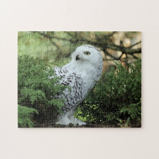 Wildlife White Owl Photo Puzzle (Horizontal)