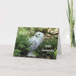 Wildlife White Owl Photo Sympathy Karte