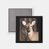 Wildlife Whitetail Deer Doe Portrait Magnet (Vorderseite/Rückseite)