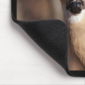 Wildlife Whitetail Deer Doe Portrait Mousepad (Ecke)