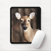 Wildlife Whitetail Deer Doe Portrait Mousepad (Mit Mouse)