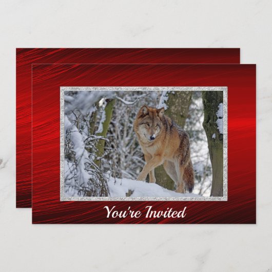 Wildlife Wolf Snow Foto Weihnachten Einladung (Vorne/Hinten)