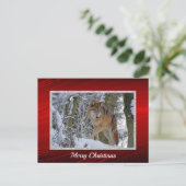 Wildlife Wolf Snow Foto Weihnachten Postkarte (Stehend Vorderseite)