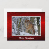Wildlife Wolf Snow Foto Weihnachten Postkarte (Vorne/Hinten)