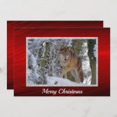 Wildlife Wolf Snow Foto Weihnachtsflat Feiertagskarte (Vorne/Hinten)