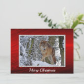 Wildlife Wolf Snow Foto Weihnachtsflat Feiertagskarte (Stehend Vorderseite)