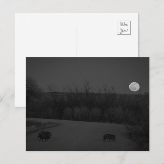 Wildmond Postkarte (Vorne/Hinten)