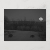 Wildmond Postkarte (Vorderseite)